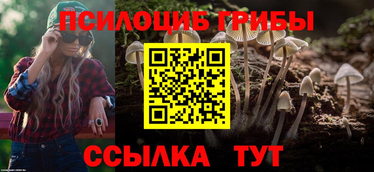 Воркута  Псилоцибиновые грибы GOLDEN TEACHER  Вход с VPN 